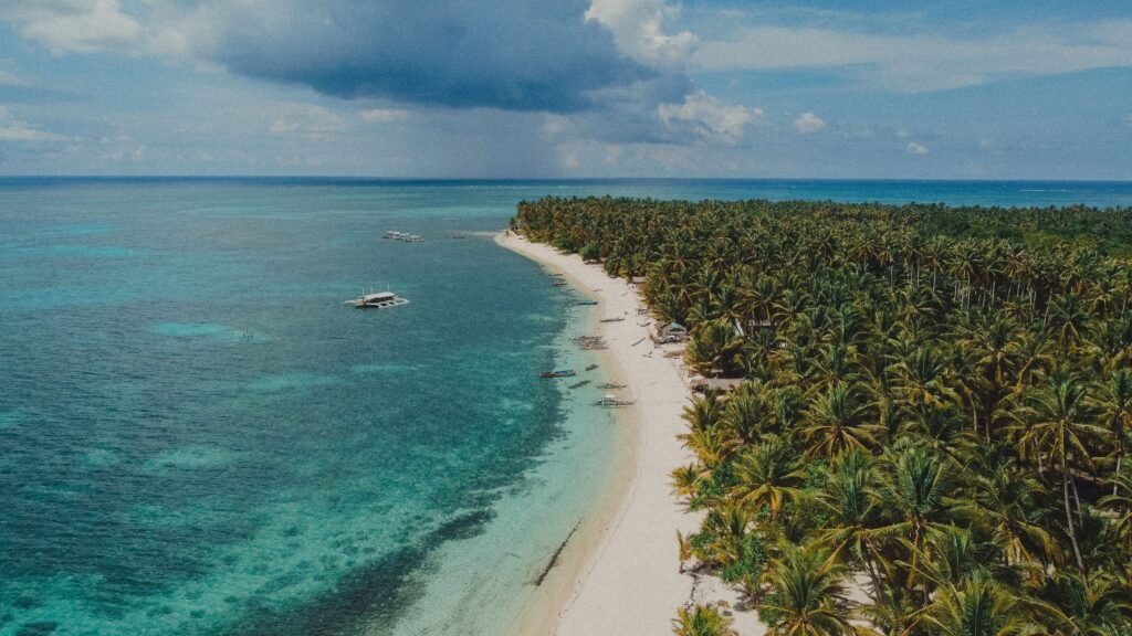 pexels-czarinah-philline-rayray-2151020930-31460042 Coconut palms lining the coast of Siargao island, Philippines, with clear water beyond.