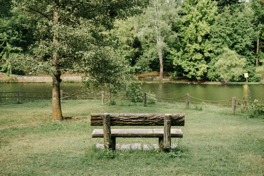 Wooden bench in a lush park by the river in summer, offering tranquility and nature's embrace.