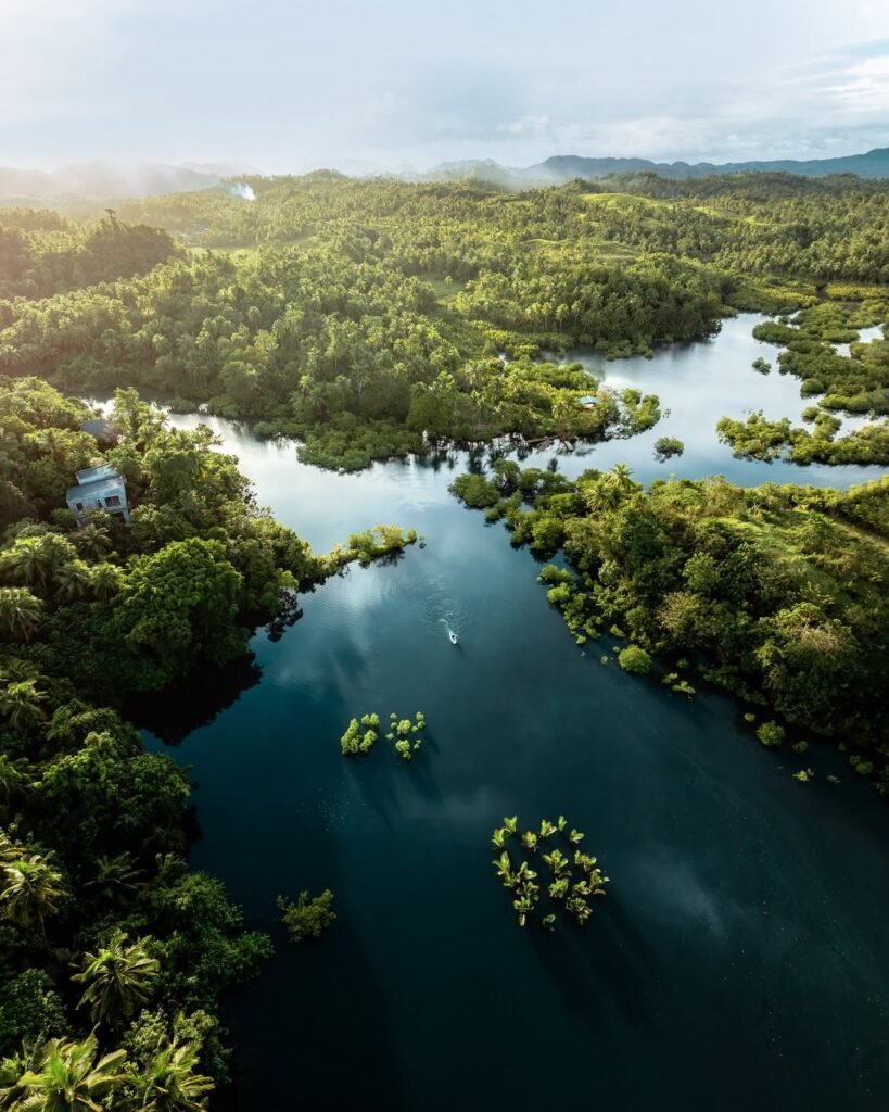 siargao mangrove Dense mangrove forest in Del Carmen, Siargao, one of the largest mangrove reserves in the Philippines.